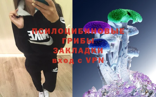 дмт Осташков