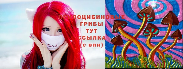 дмт Осташков
